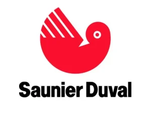 Котел SAUNIER DUVAL (Сеньор Дюваль) — Ошибка F1